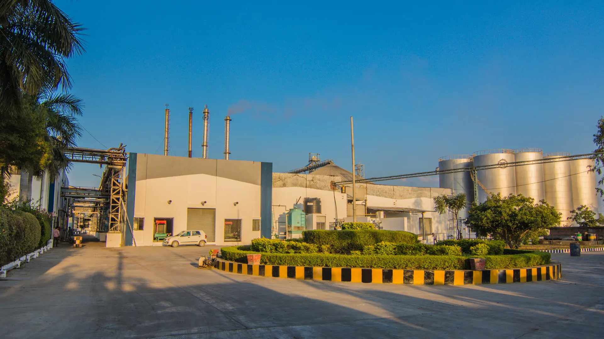 Methyl Esters in the Cosmetic Industry: A Sustainable Ingredient …