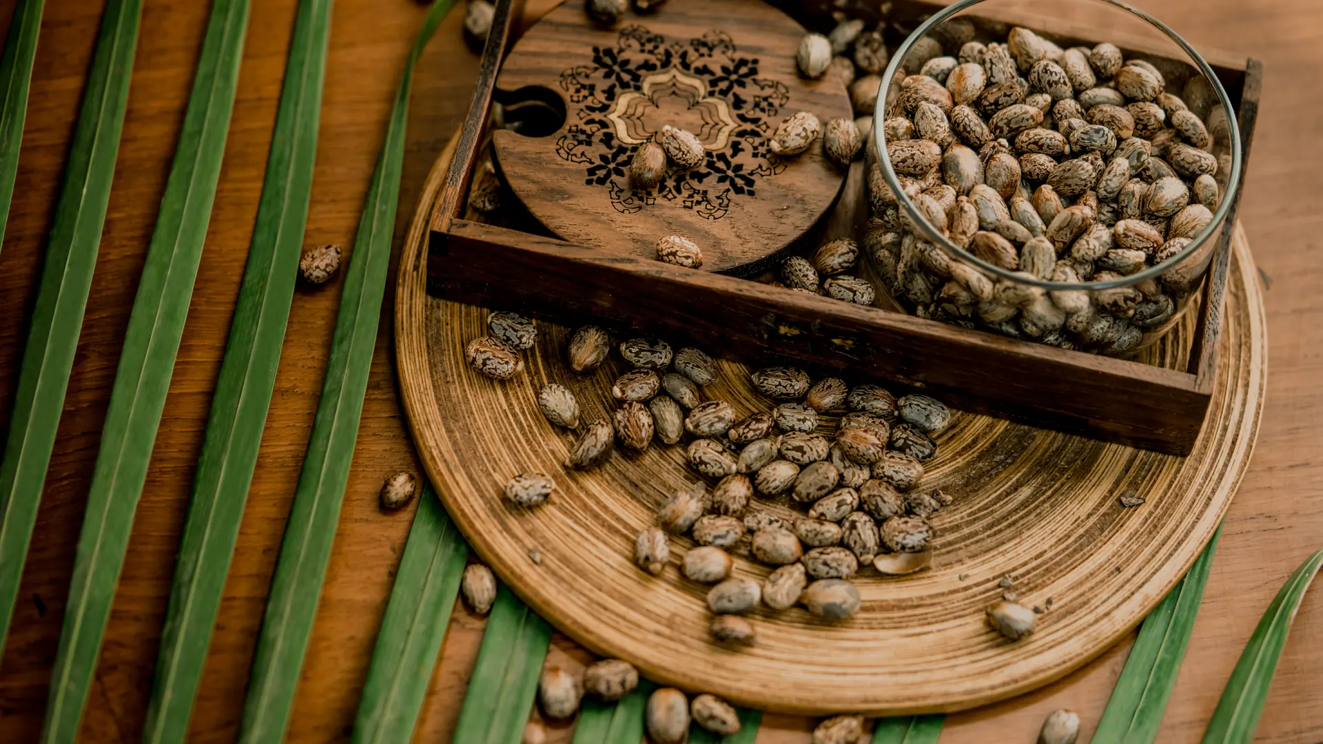Cold Pressed Castor Oil: Must-Have Tips for Online Buyers